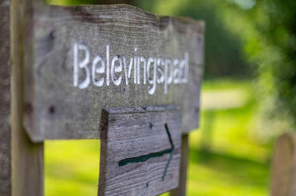 Medium property photo - Het Zwiggelterveld 149, 9433 VD Zwiggelte